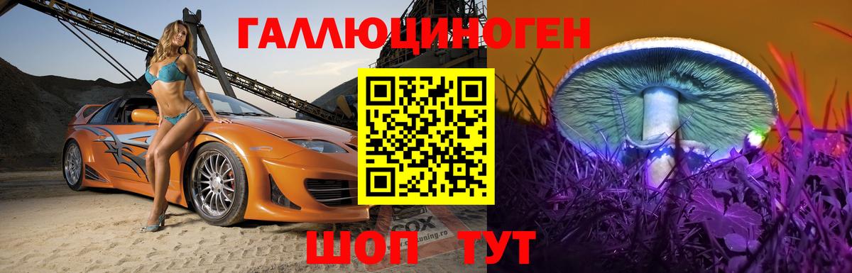 Псилоцибиновые грибы MAGIC MUSHROOMS  Вход с VPN  Нурлат 